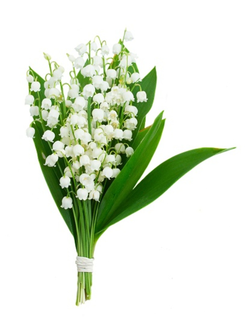 luxury flowers flower arrangement